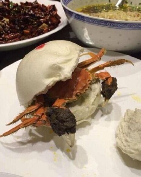 别问我为什么这么吃，有钱！任性！综合gif搞笑图片