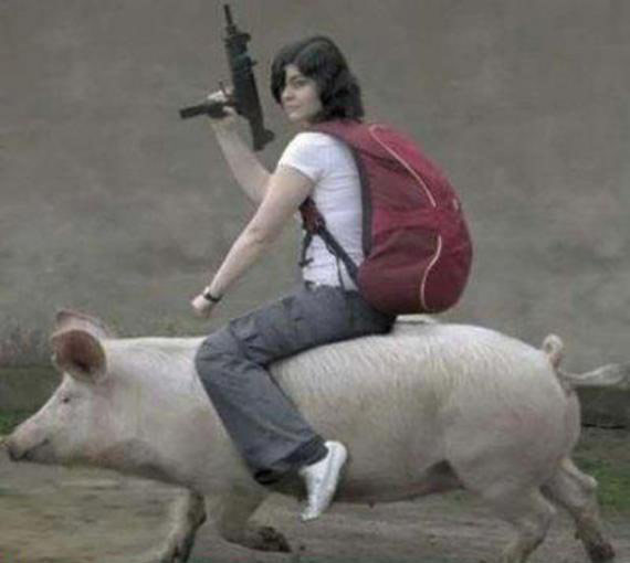 骑着猪猪去战斗综合gif搞笑图片