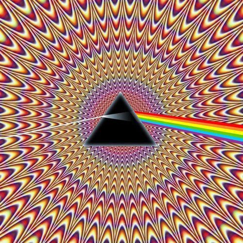 你第一眼看到了什么？综合gif搞笑图片