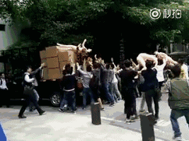 双十一买的娃娃终于到了，抢疯了综合gif搞笑图片