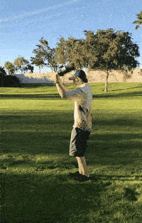 厉害了我的可乐综合gif搞笑图片