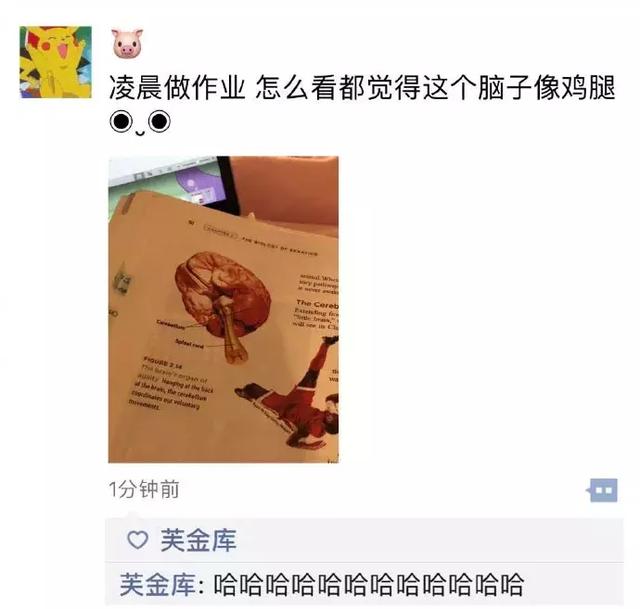 我看像肘子综合gif搞笑图片