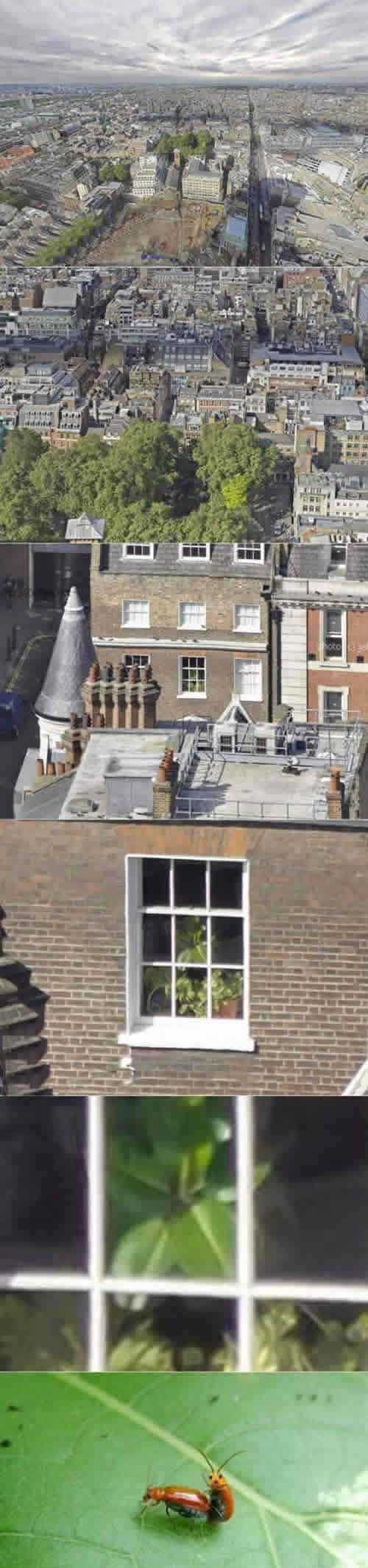 咋不去做特工呢？综合gif搞笑图片