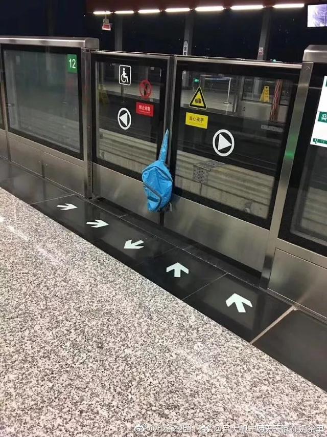 老师，我作业真的做完了综合gif搞笑图片