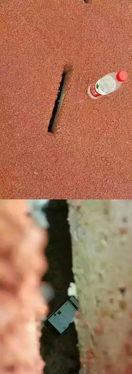 终于看到有人把手机掉进去了综合gif搞笑图片