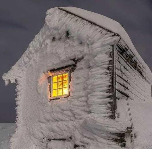 寒冬里的温暖综合gif搞笑图片