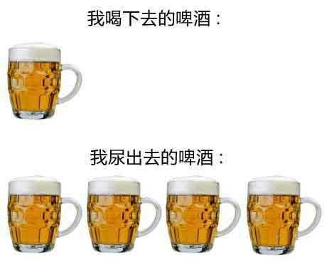 一杯啤酒的四杯赶脚综合gif搞笑图片