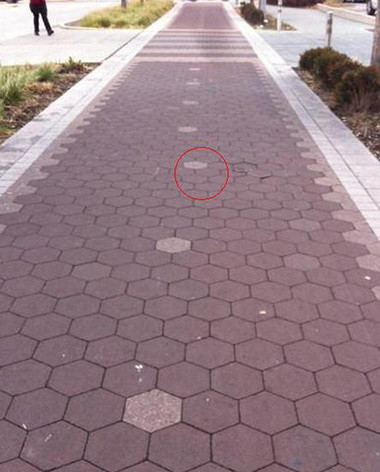 强迫症患者表示完全不能忍综合gif搞笑图片