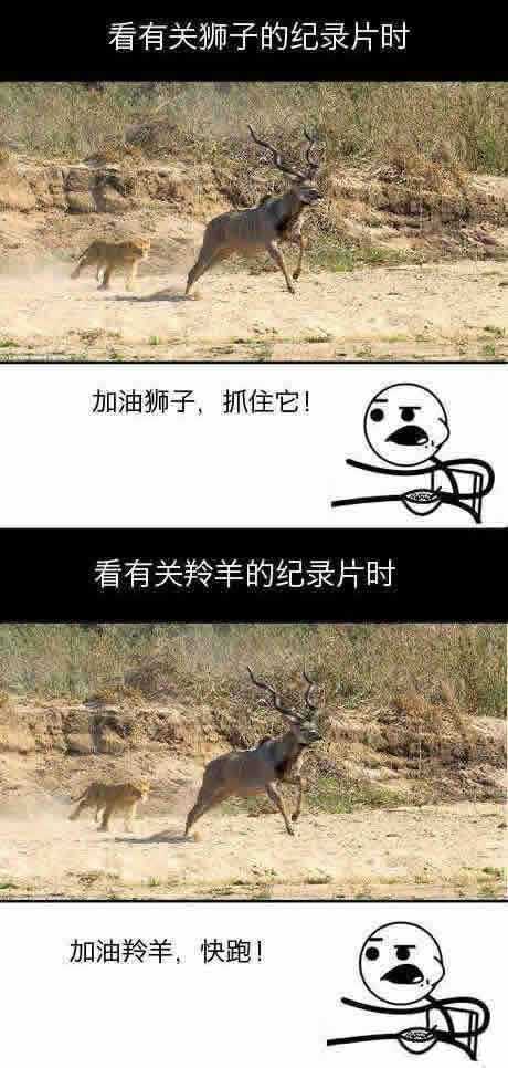 加油狮子。。。加油羚羊。。。综合gif搞笑图片