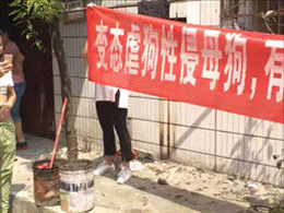 震惊了,没想到还真有人好这一口综合gif搞笑图片