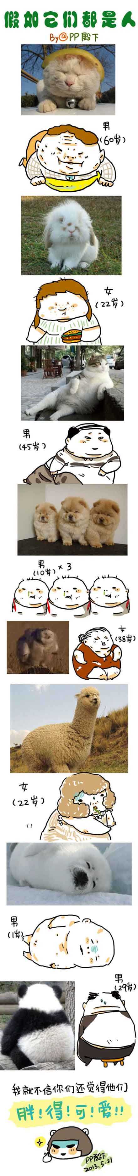 为神马动物胖胖的都夸可爱。。。综合gif搞笑图片