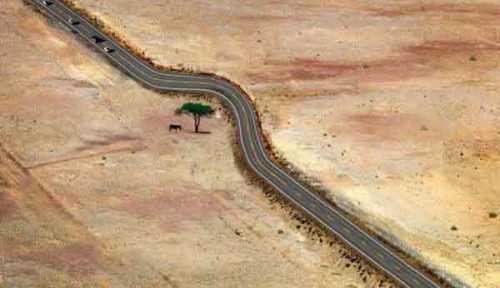 公路绕过了一棵树。。。综合gif搞笑图片