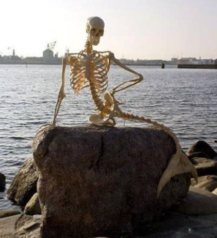 波罗地海边惊现美人鱼综合gif搞笑图片