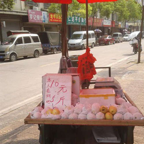 感觉这会破产的综合gif搞笑图片