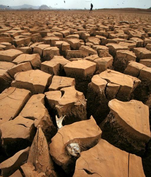 看到这条鱼你想说神马综合gif搞笑图片