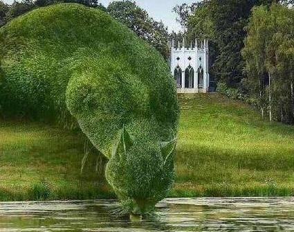 这个园艺师太屌了综合gif搞笑图片