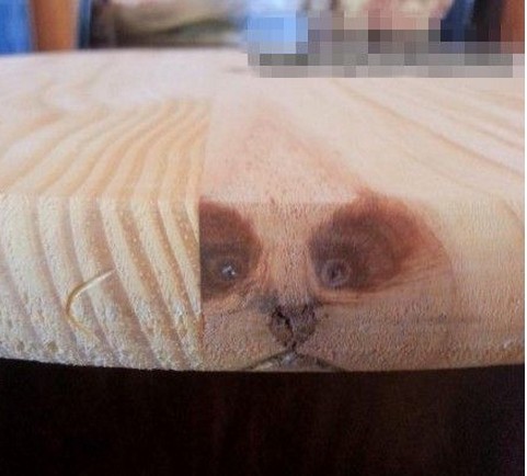 骗人什么狗屁转世轮回综合gif搞笑图片