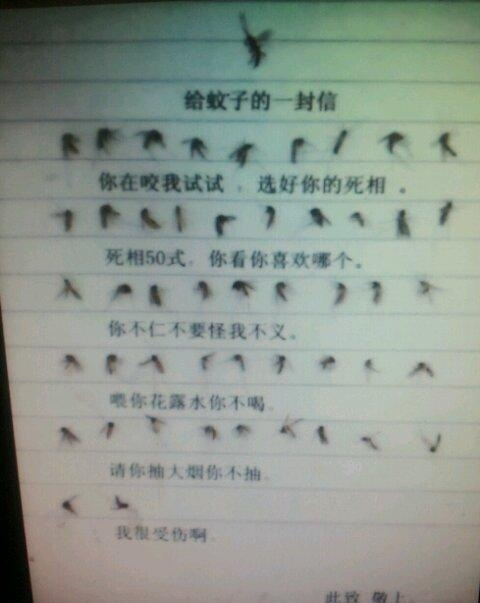 蚊子你的信综合gif搞笑图片