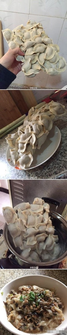 俺媳妇下的饺子综合gif搞笑图片