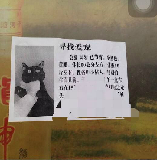 好像知道了离家出走的原因综合gif搞笑图片