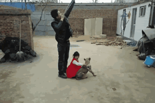 孩子他爸真牛叉综合gif搞笑图片