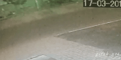 我是谁？这是哪里？综合gif搞笑图片