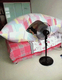 上学那会要是有这设备也不至于半夜热醒了综合gif搞笑图片