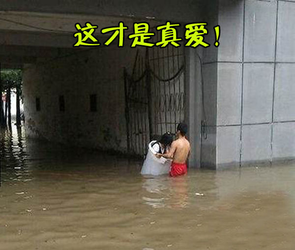 什么是真爱，这才是综合gif搞笑图片