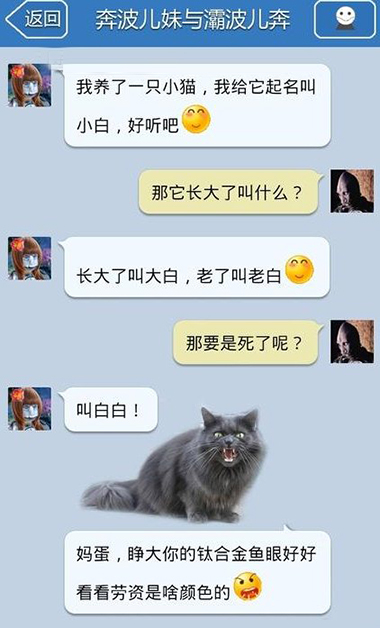 喵星人也是个暴脾气综合gif搞笑图片