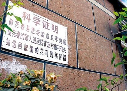 偷个花也不容易啊！！！综合gif搞笑图片