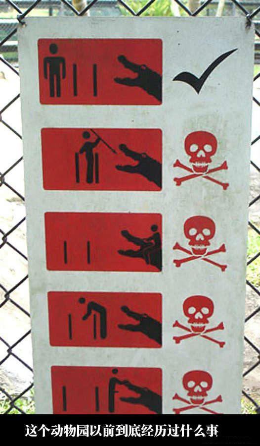 这个动物园以前到底经历过什么事综合gif搞笑图片
