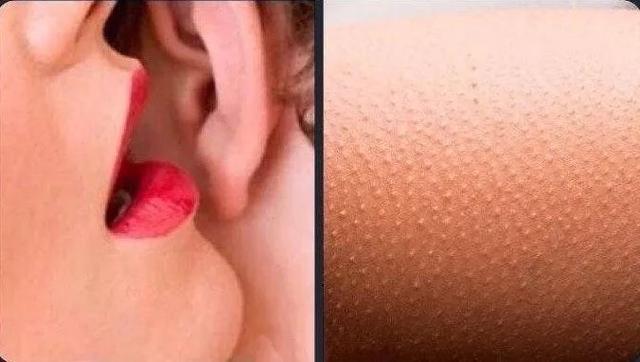 我刚看了你手机综合gif搞笑图片