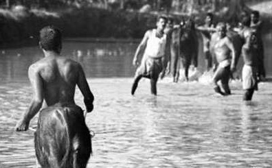 人马座下凡综合gif搞笑图片