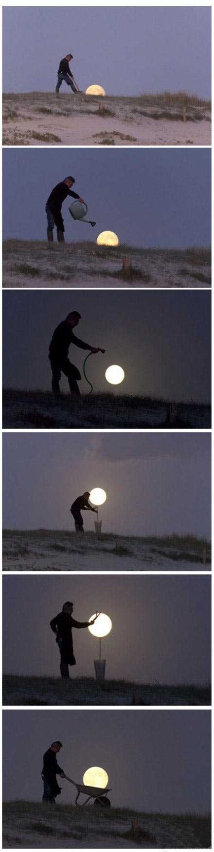 从播种到收获综合gif搞笑图片