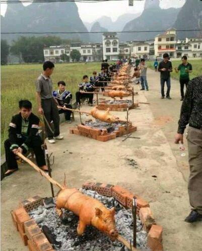 真正的烤群猪综合gif搞笑图片