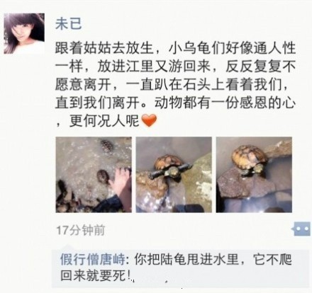 感恩的小乌龟综合gif搞笑图片