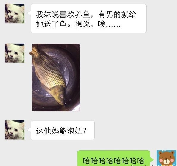 这样是不会有女朋友的综合gif搞笑图片