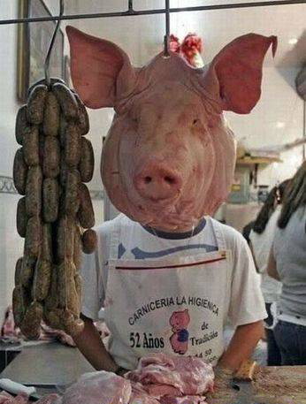 老板，你那猪头咋买？综合gif搞笑图片