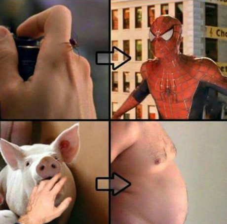 套路是一样的，结果却是如此的悲剧综合gif搞笑图片