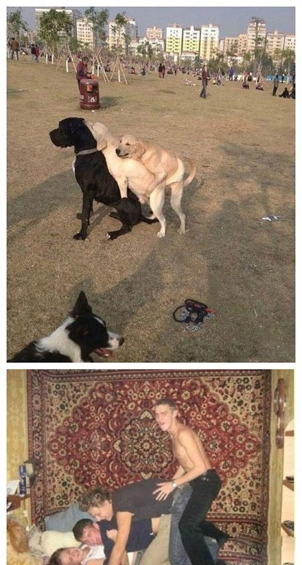 差不多一个意思综合gif搞笑图片