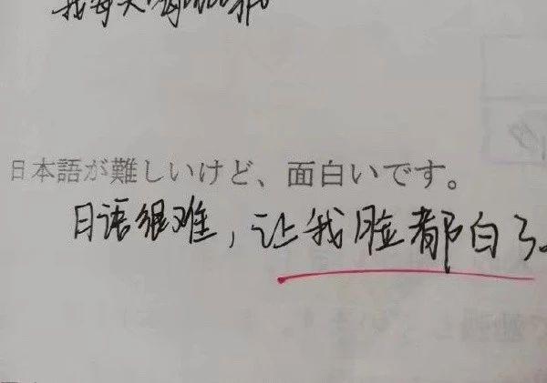 不应该脸红了吗？！综合gif搞笑图片