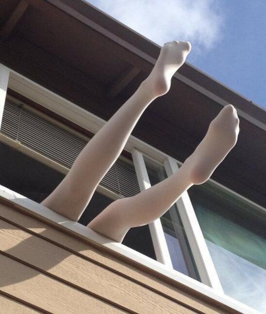 一双美腿出墙来综合gif搞笑图片