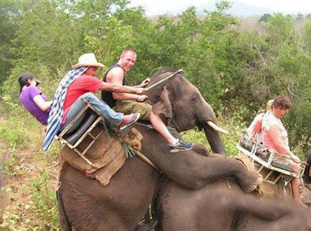 这应该算是重大交通事故了吧~综合gif搞笑图片