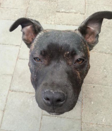 见鬼了，毫无PS痕迹综合gif搞笑图片