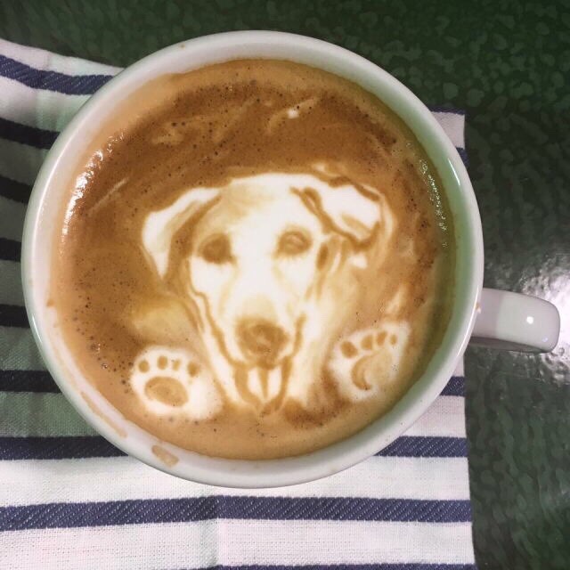 阿汪：这是给我喝的吗？综合gif搞笑图片