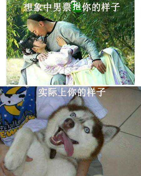 现实总是这样的残酷综合gif搞笑图片