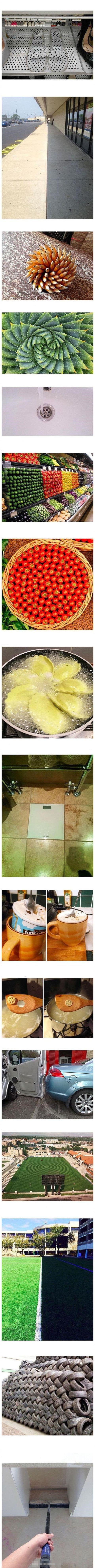 强迫症福利综合gif搞笑图片