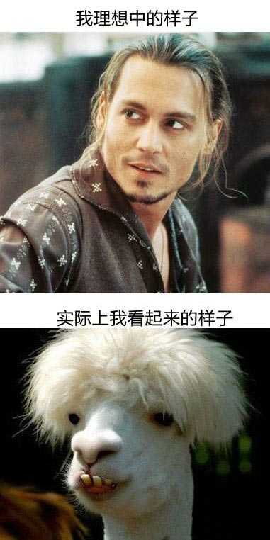 当我决定开始留长发的时候，理想与现实的样子。。。综合gif搞笑图片