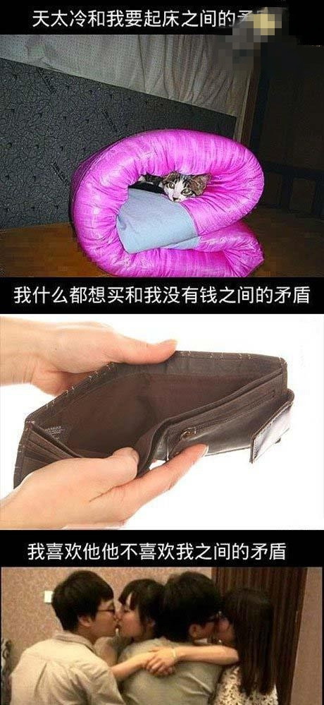 当前的主要矛盾分别为。。。综合gif搞笑图片