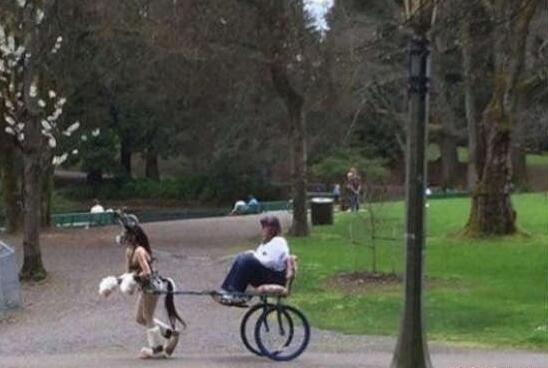 这是从哪买的小马驹啊综合gif搞笑图片